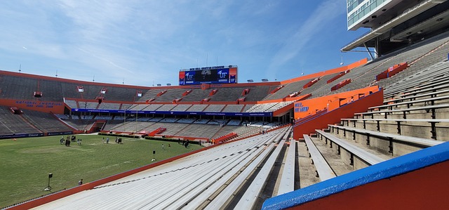 临职业发展 临职业发展