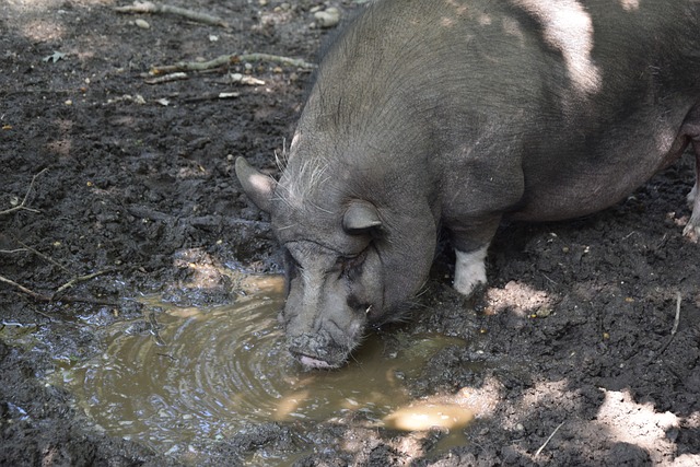 切勿因停电 切勿因停电