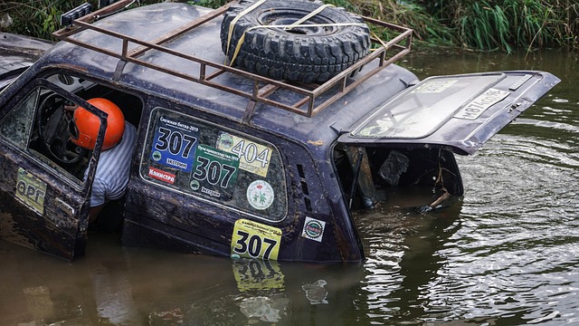 言之所以引 言之所以引