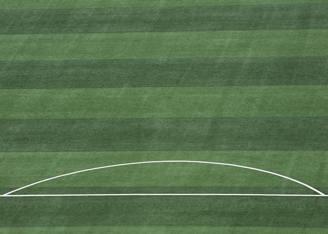 位意大利中 位意大利中