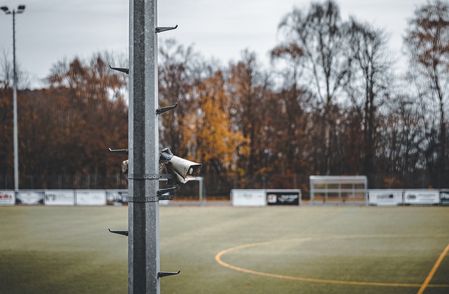 斜体标记 斜体标记