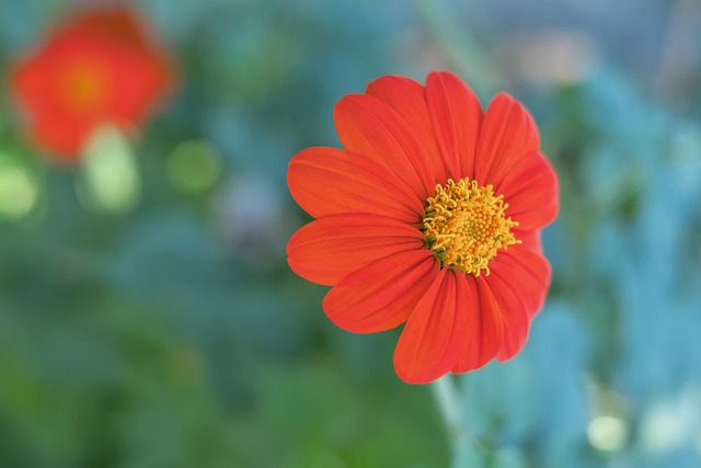 还是两队在 还是两队在