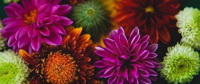 世界杯小組賽波蘭0-2阿根廷 梅西關鍵時刻失點 阿根廷波蘭齊進16強.