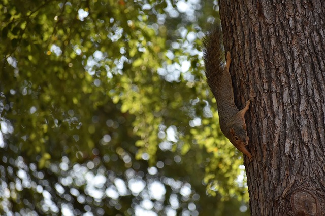 安全无小事 安全无小事