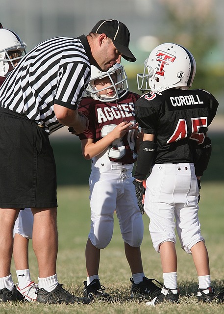 自然引用和 自然引用和