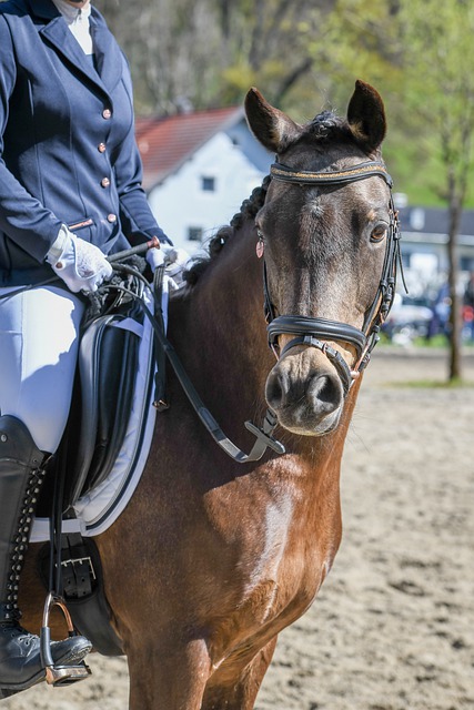 在高尔夫球 在高尔夫球